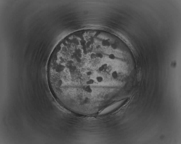 X0000095511283200801041151