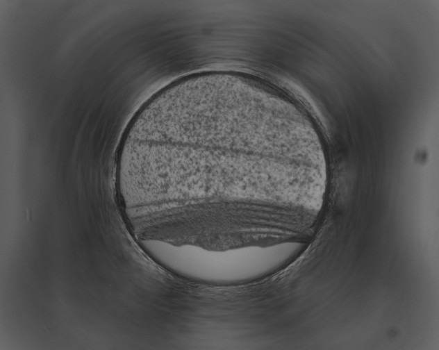 X0000095511284200801041151