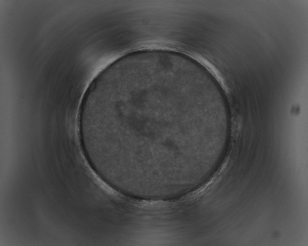 X0000095511285200801041151