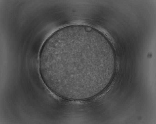 X0000095511286200801041151