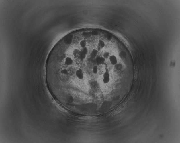 X0000095511287200801041151