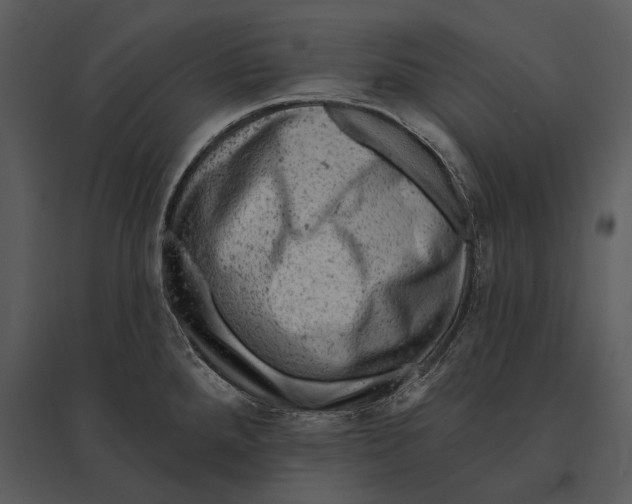 X0000095511288200801041151