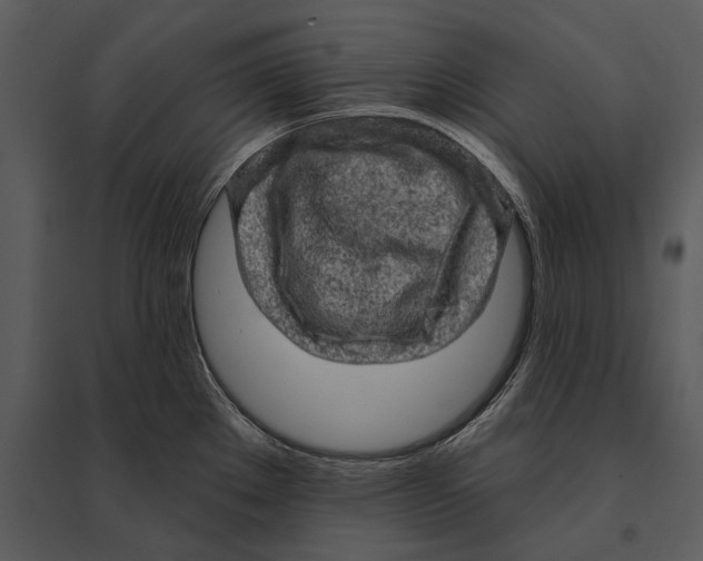 X0000095511289200801041151
