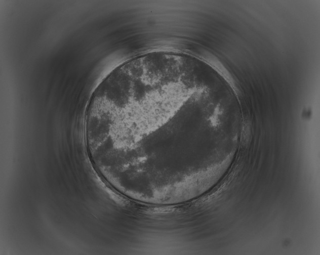X0000095511290200801041151