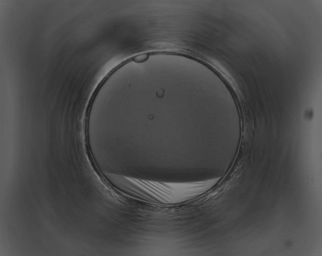 X0000095511291200801041151