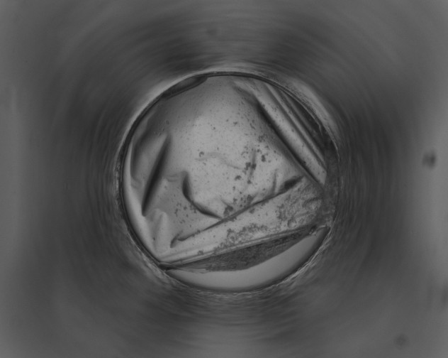 X0000095511292200801041151