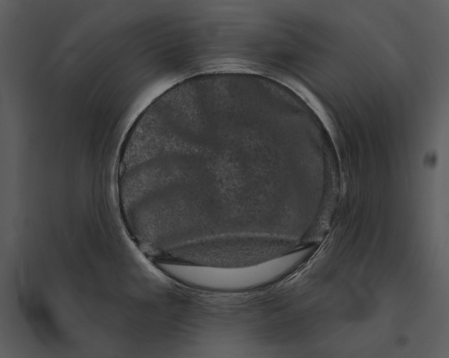 X0000095511293200801041151
