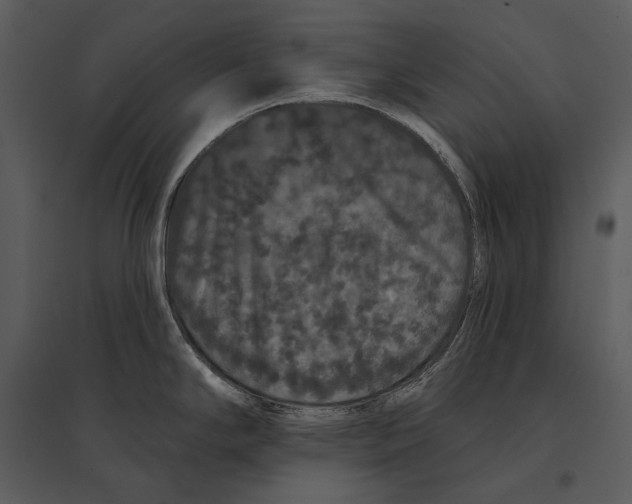 X0000095511294200801041151