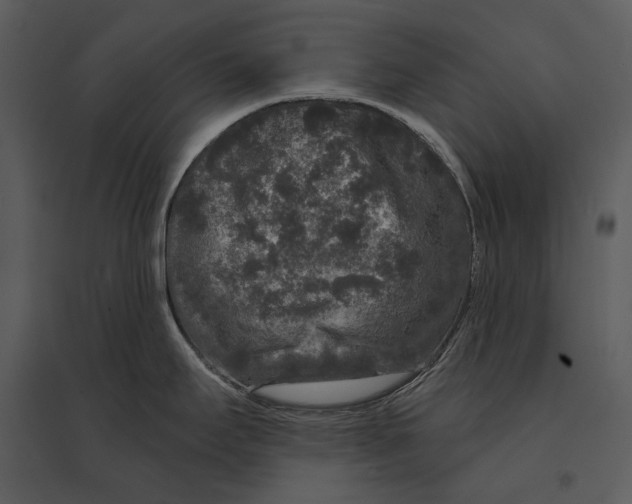 X0000095511295200801041151