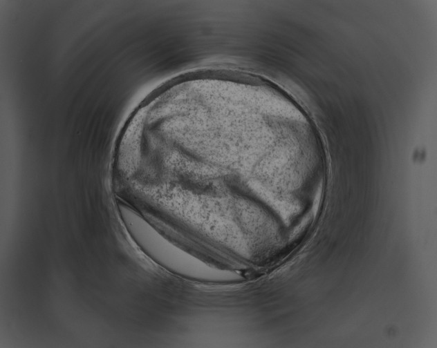 X0000095511296200801041151