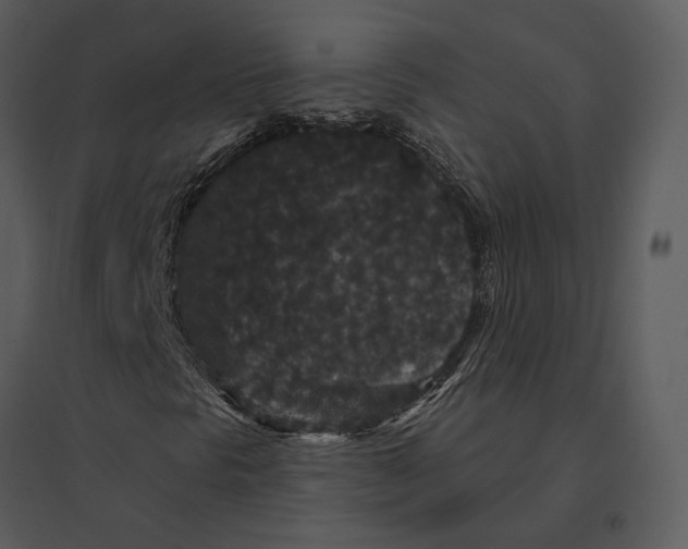 X0000095511297200801041151