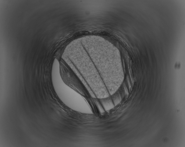 X0000095511298200801041151