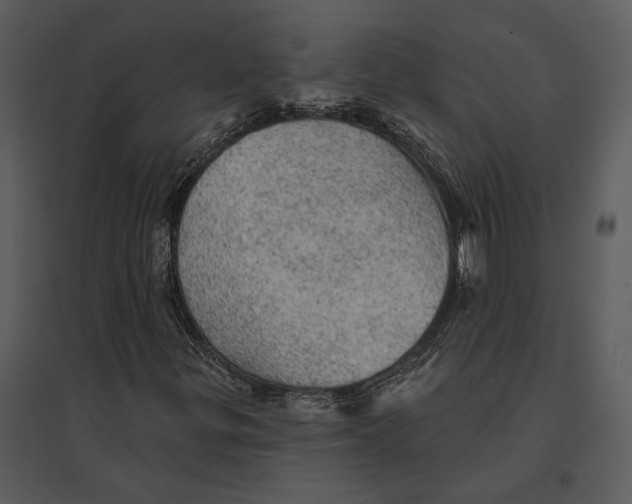 X0000095511299200801041151