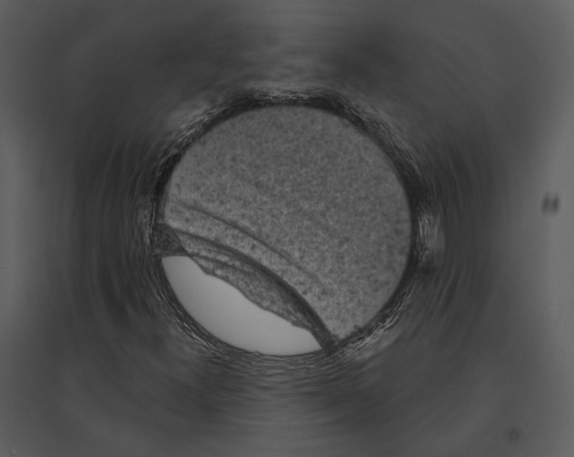 X0000095511300200801041151