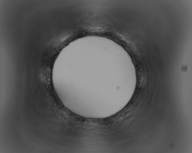 X0000095511301200801041151