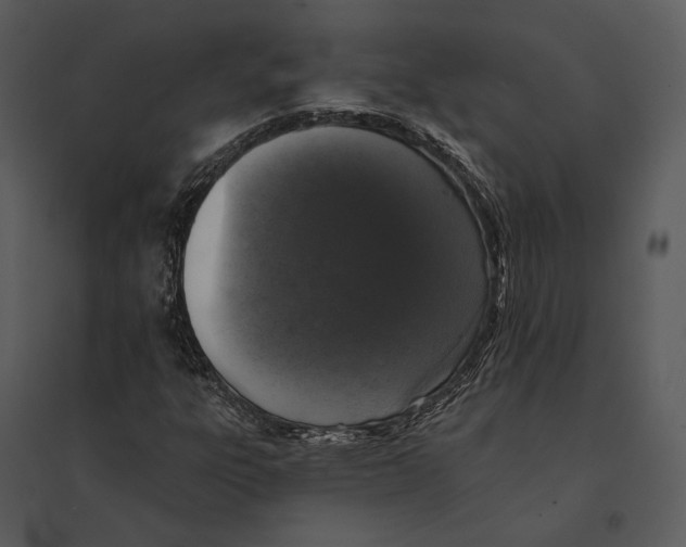 X0000095511303200801041151