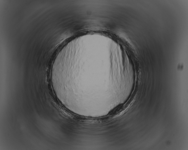 X0000095511305200801041151