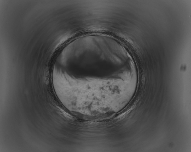 X0000095511306200801041151