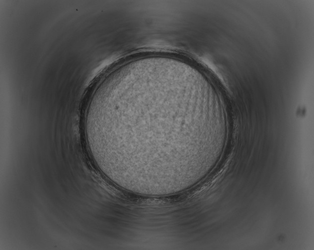 X0000095511307200801041151