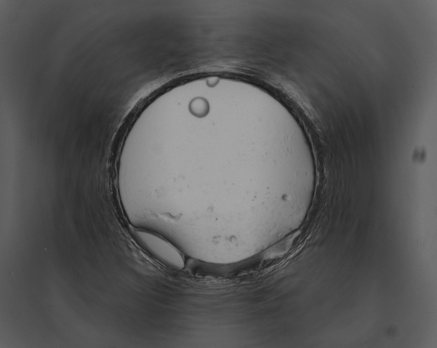 X0000095511308200801041151