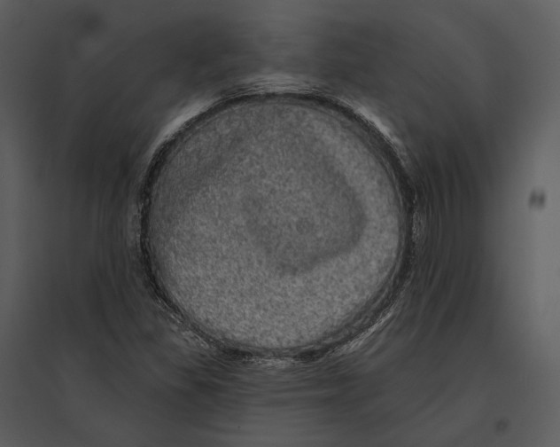 X0000095511309200801041151
