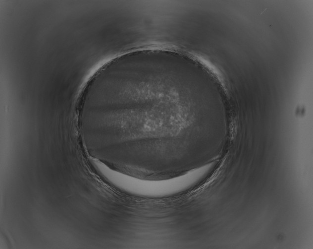 X0000095511310200801041151