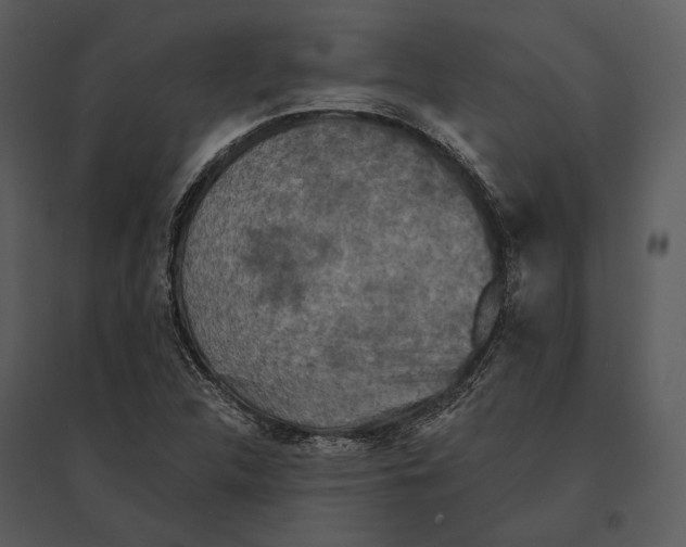 X0000095511312200801041151