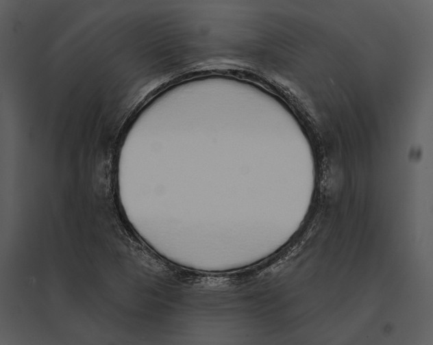 X0000095511313200801041151