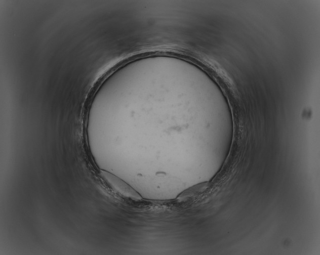 X0000095511316200801041151