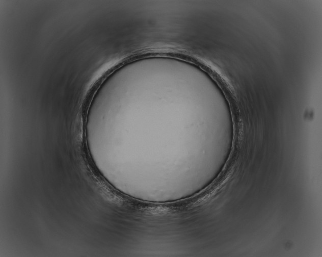 X0000095511317200801041151