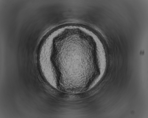 X0000095511318200801041151