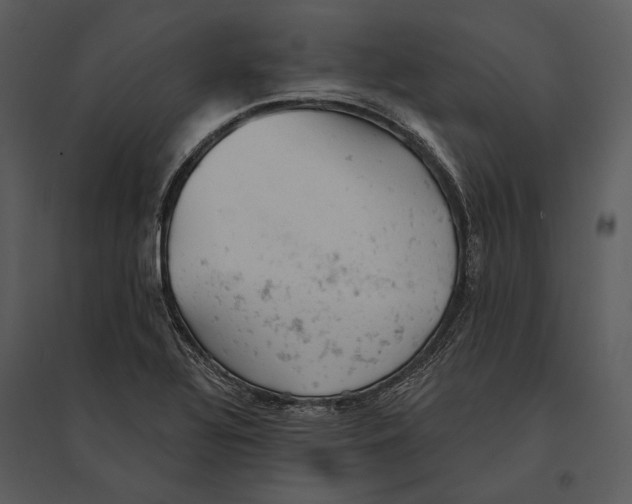 X0000095511320200801041151