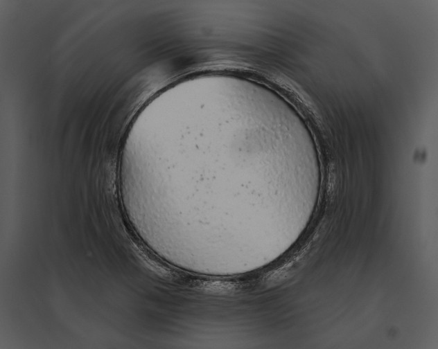 X0000095511321200801041151