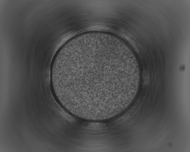 X0000095511322200801041151
