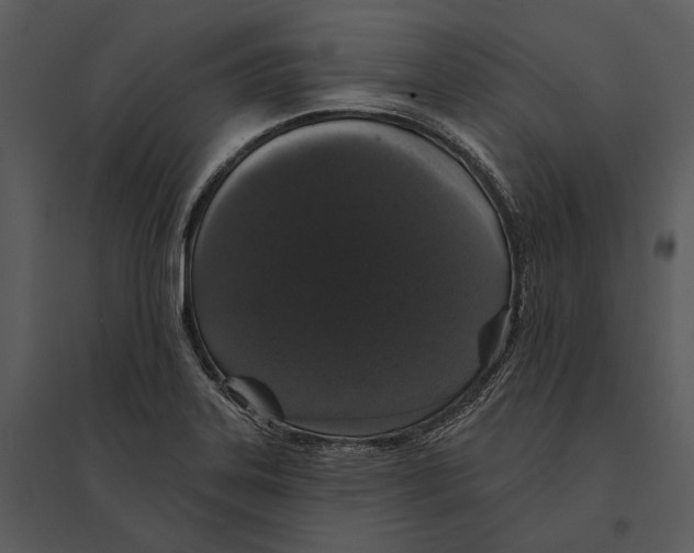 X0000095511323200801041151
