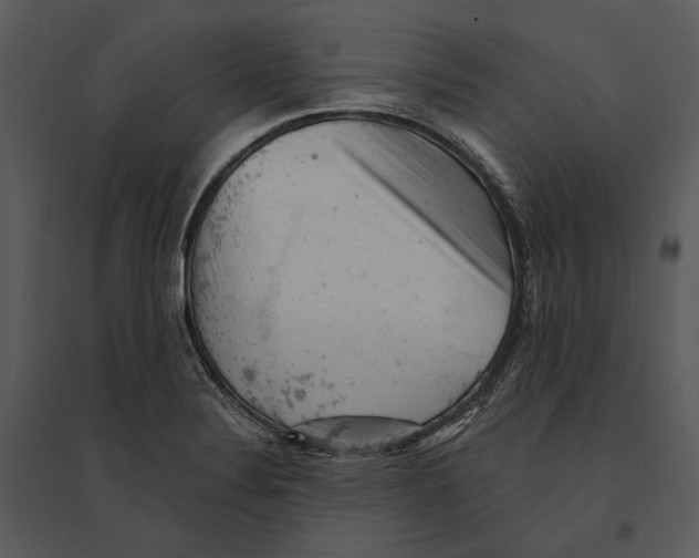 X0000095511324200801041151