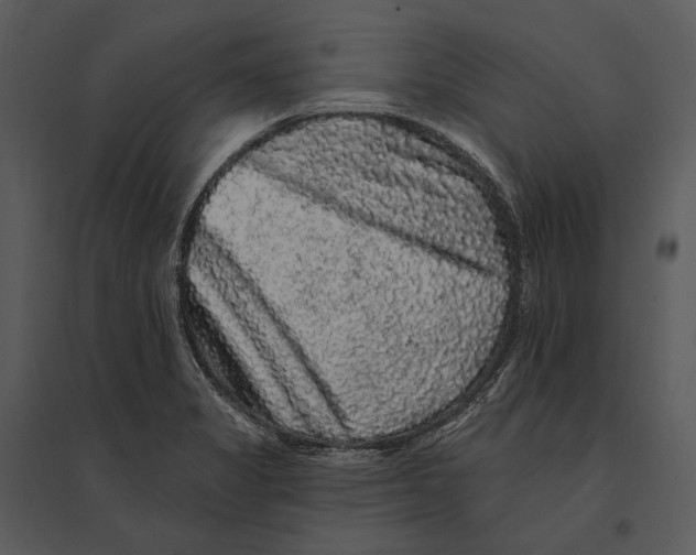 X0000095511325200801041151
