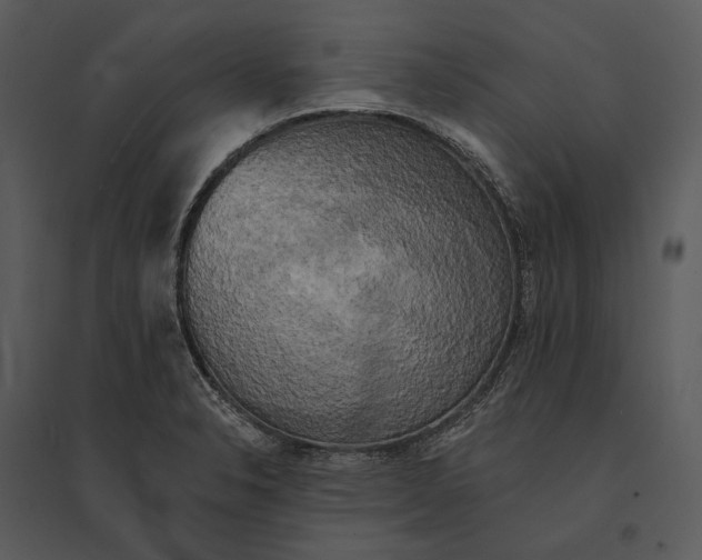 X0000095511326200801041151