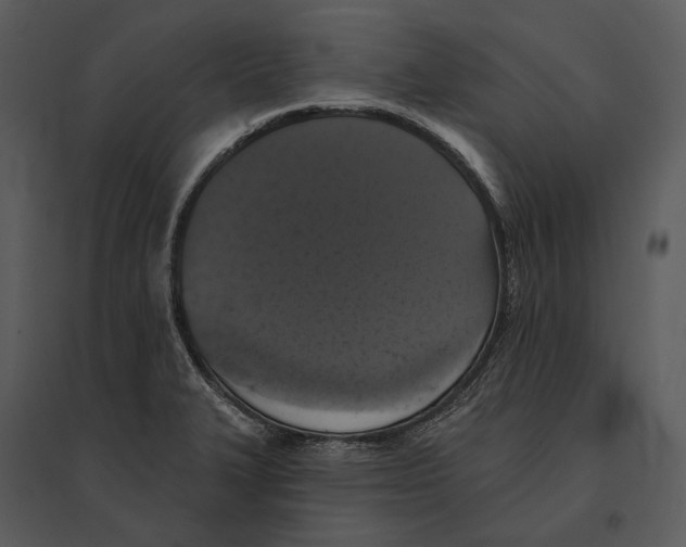 X0000095511327200801041151