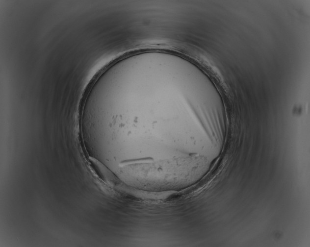 X0000095511328200801041151