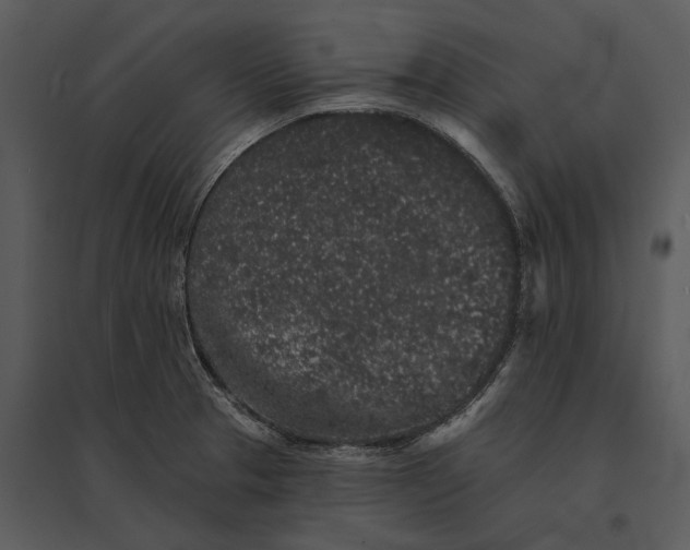 X0000095511329200801041151