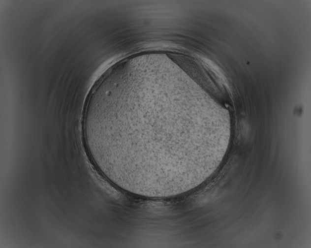 X0000095511330200801041151
