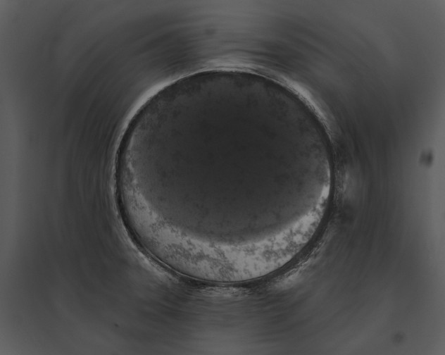X0000095511331200801041151