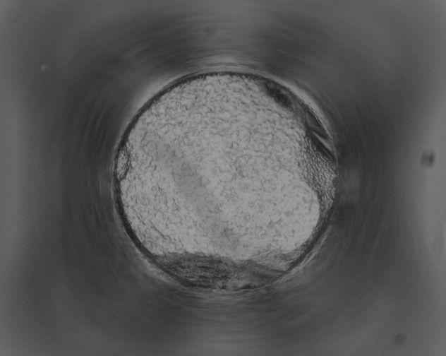 X0000095511333200801041151