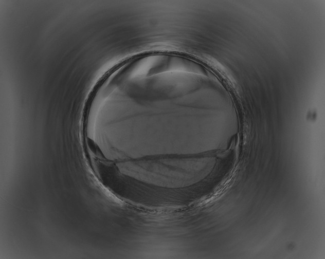 X0000095511334200801041151
