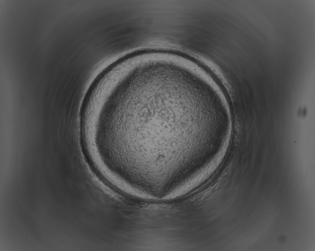 X0000095511335200801041151