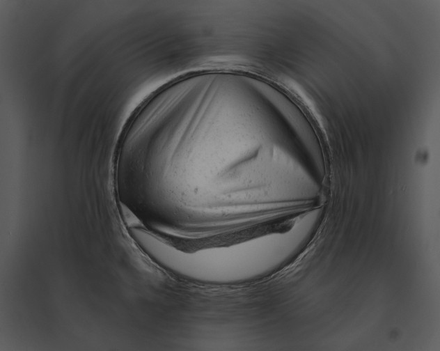 X0000095511336200801041151
