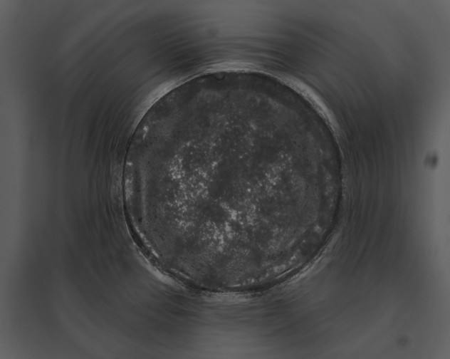 X0000095511337200801041151