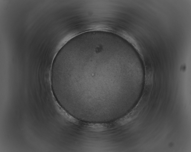 X0000095511338200801041151
