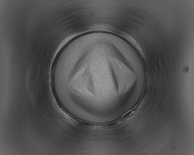 X0000095511339200801041151